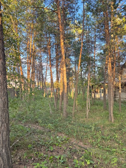 1916 м², земельные участки, продаю 5