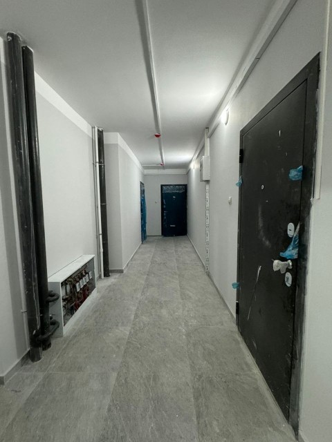 1 комн., Монолитно-каркасный, Сайсары 17