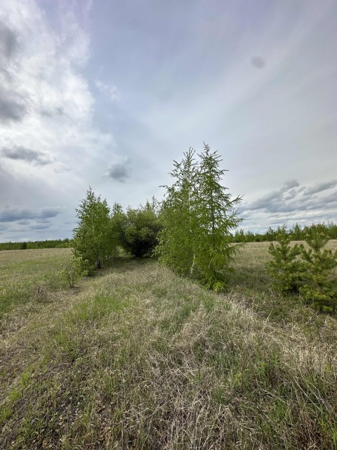 Земельные участки, продаю 7