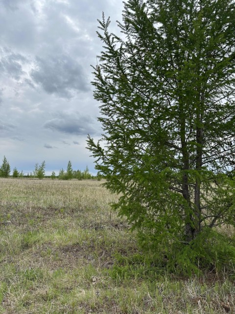 Земельные участки, продаю 9