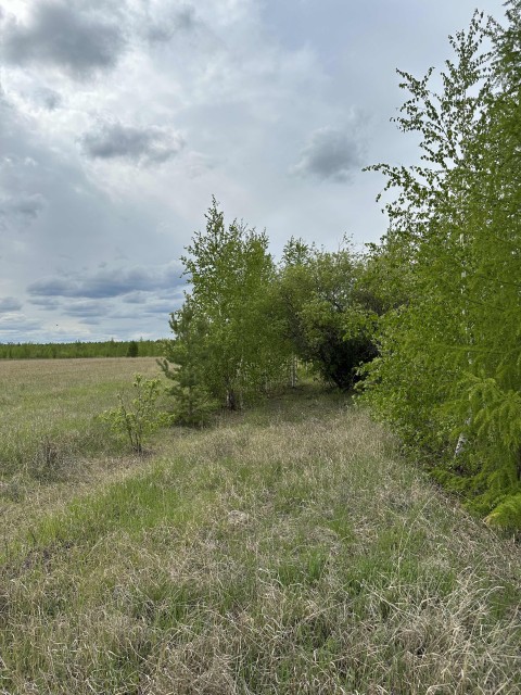 Земельные участки, продаю 10