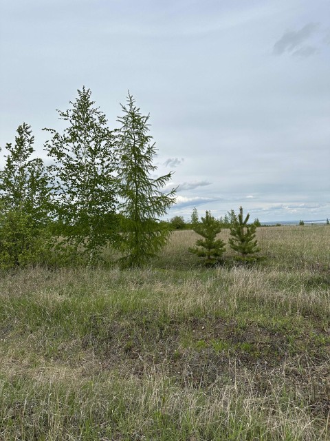 Земельные участки, продаю 3