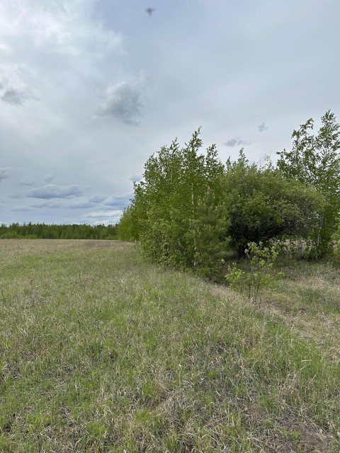 Земельные участки, продаю 4