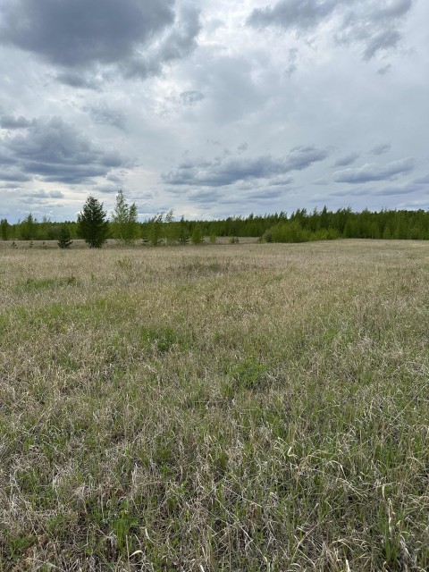 Земельные участки, продаю 2