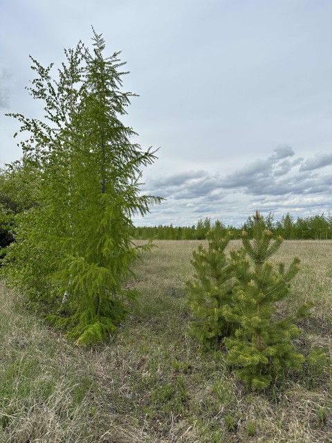 Земельные участки, продаю