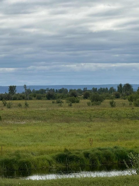 2000 м², земельные участки, продаю 2