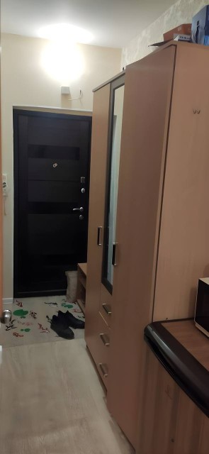 Студия, 18 м², Монолитно-каркасный, ЯКСМК 6