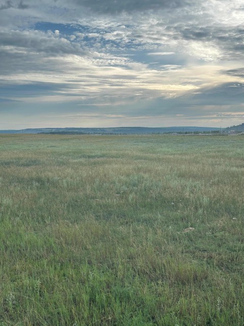 10000 м², земельные участки, продаю 2