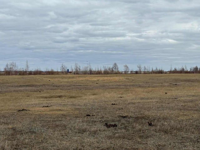 10000 м², земельные участки, продаю 3