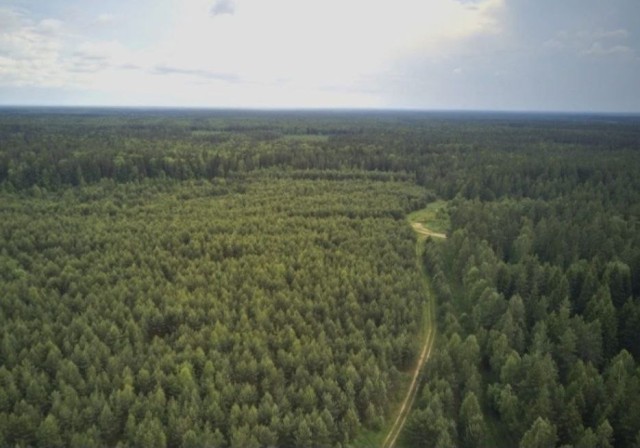 39000 м², земельные участки, продаю 2