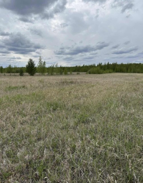 1000 м², земельные участки, продаю 4