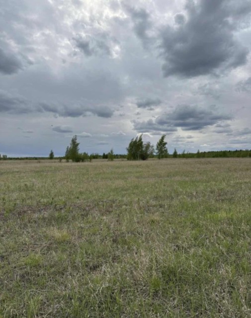 1000 м², земельные участки, продаю