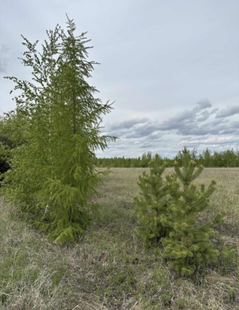 1000 м², земельные участки, продаю 5