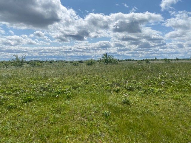 2000 м², земельные участки, продаю 4