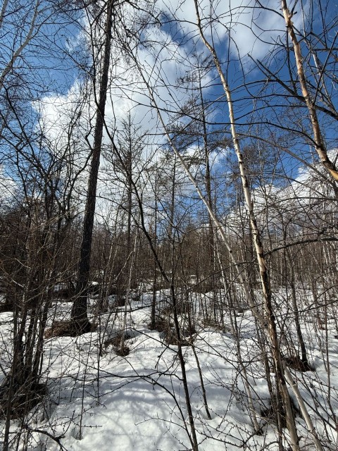 539 м², земельные участки, продаю