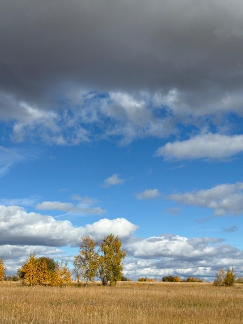 2000 м², земельные участки, продаю 13