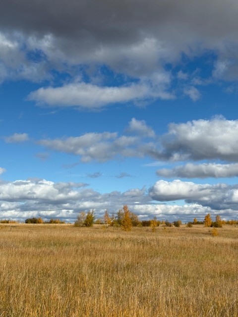 2000 м², земельные участки, продаю 4