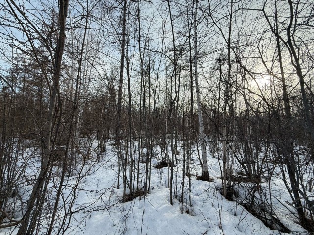 539 м², земельные участки, продаю 2