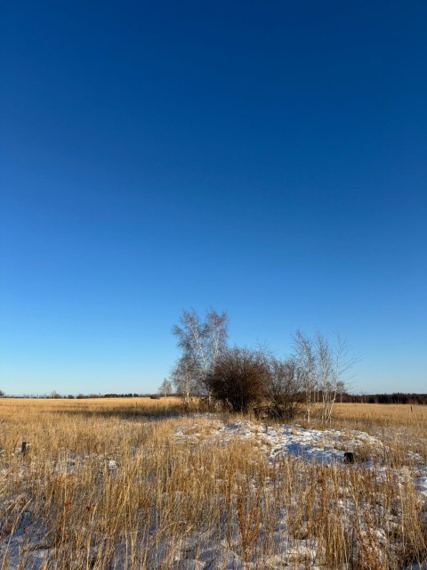 2000 м², земельные участки, продаю 5