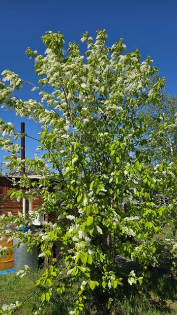 Земельные участки, продаю 3