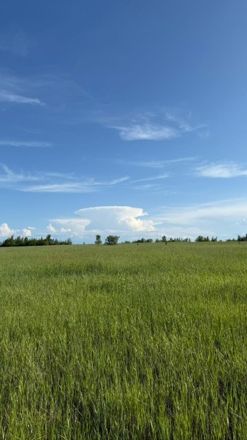 2000 м², земельные участки, продаю 9