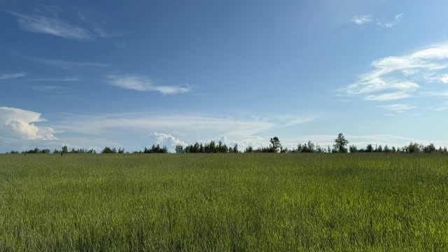 2000 м², земельные участки, продаю 11