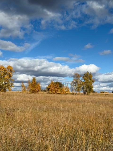 2000 м², земельные участки, продаю