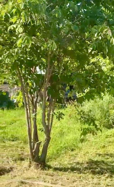 Земельные участки, продаю