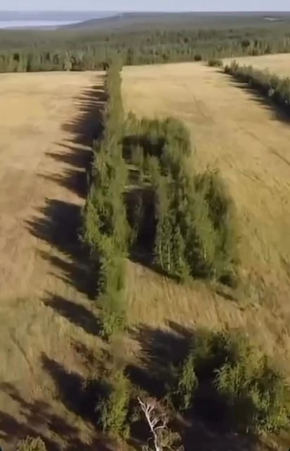 2000 м², земельные участки, продаю 16