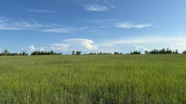 2000 м², земельные участки, продаю 10