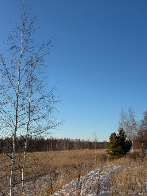 2000 м², земельные участки, продаю 3