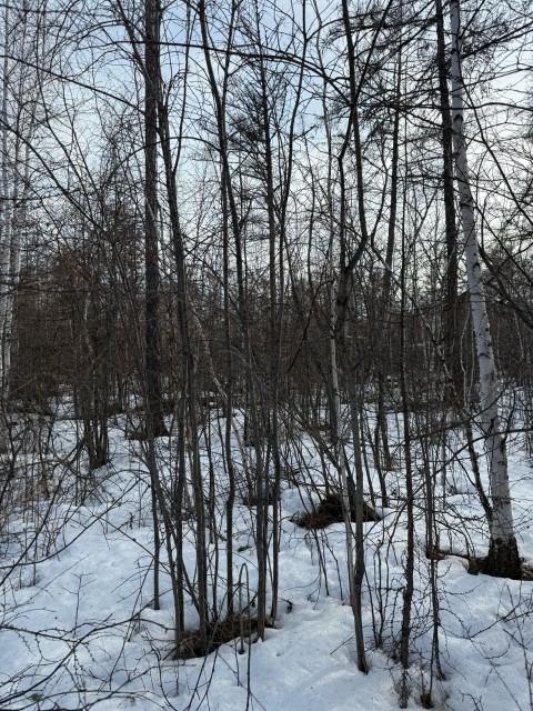 539 м², земельные участки, продаю 5