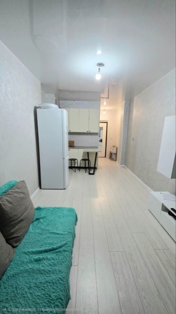 Студия, 23 м², Монолитно-каркасный 5