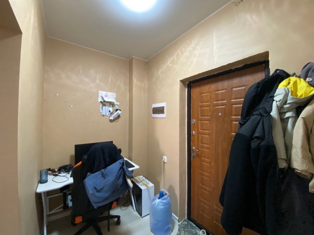 Студия, 24 м², Инд. планировка 4