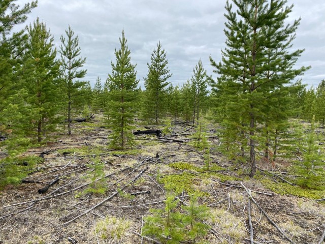 1200 м², земельные участки, продаю