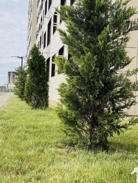 Студия, 26 м², Монолитно-каркасный, Другие районы 14