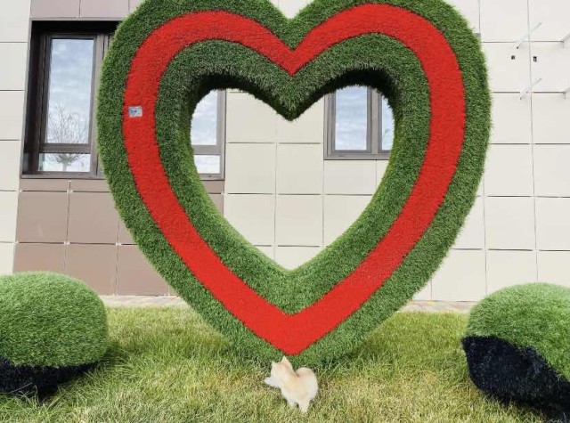 Студия, 26 м², Монолитно-каркасный, Другие районы 19