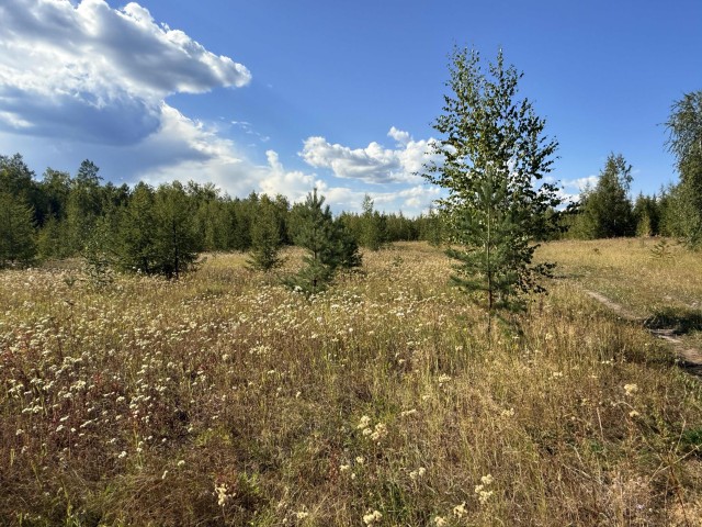 800 м², земельные участки, продаю 2