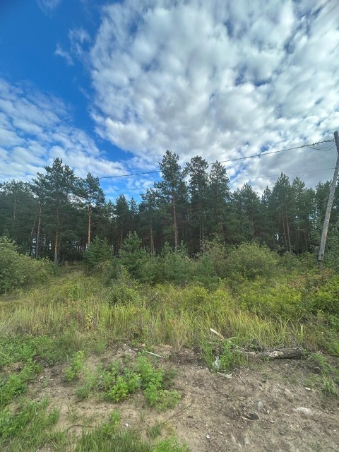 20000 м², земельные участки, продаю 2