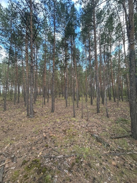 20000 м², земельные участки, продаю