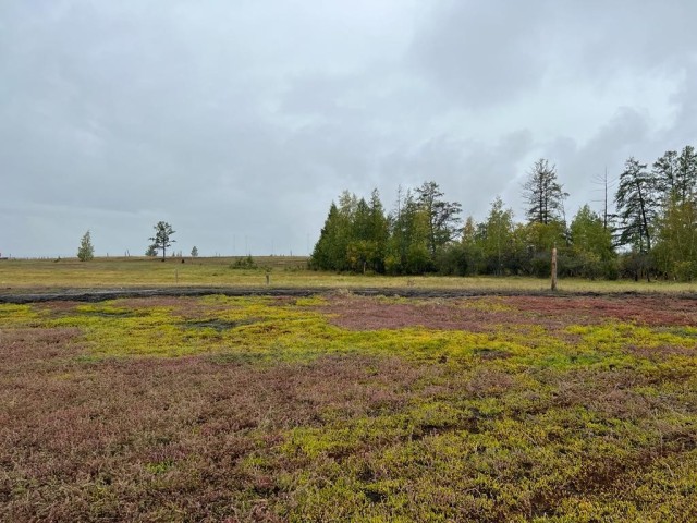 1000 м², земельные участки, продаю 3