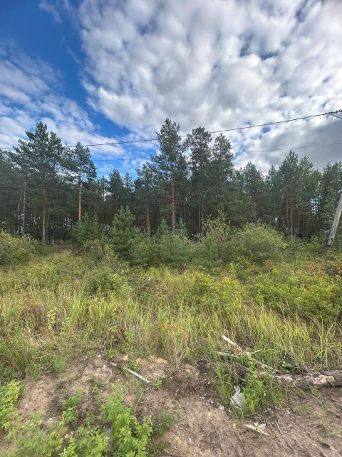 20000 м², земельные участки, продаю 3