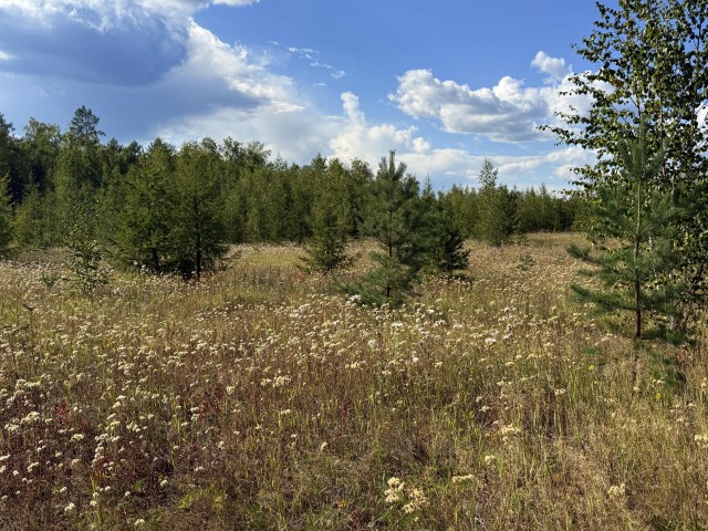 800 м², земельные участки, продаю 3