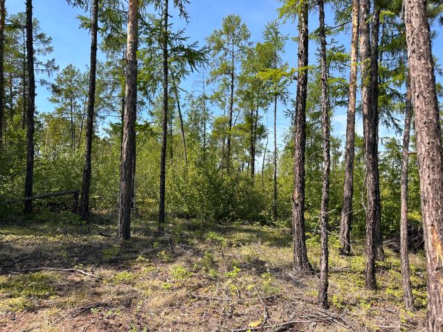 1000 м², земельные участки, продаю