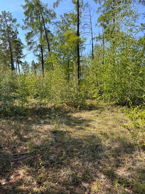 1000 м², земельные участки, продаю 3