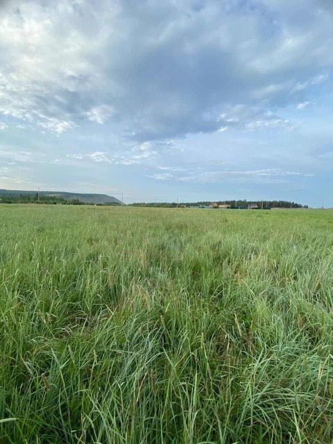 8 м², земельные участки, продаю