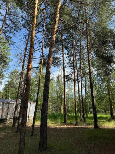 14000 м², земельные участки, продаю 9