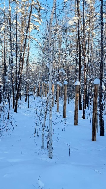 Земельные участки, продаю 7