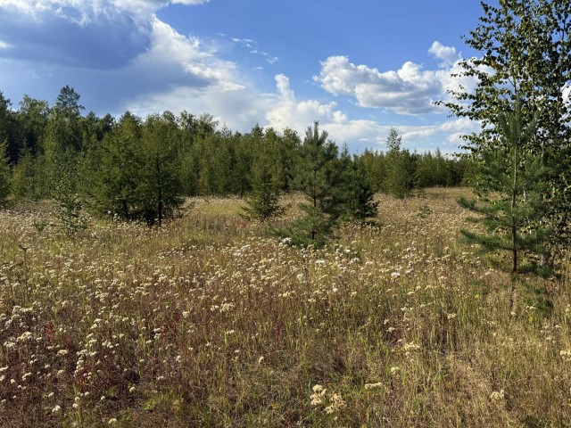 1000 м², земельные участки, продаю