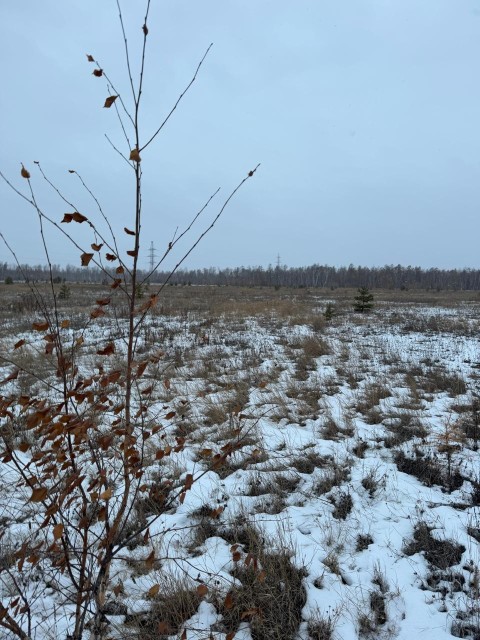 12974 м², земельные участки, продаю 3